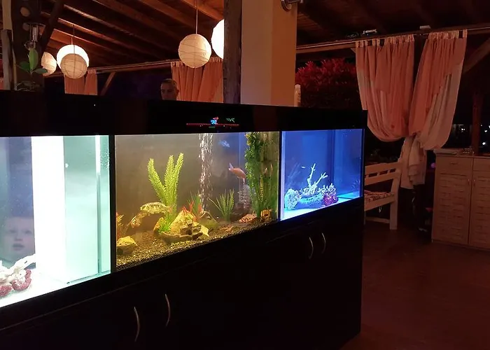 Magic Dreams Sveti Vlas